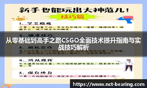从零基础到高手之路CSGO全面技术提升指南与实战技巧解析