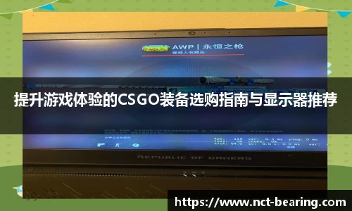 提升游戏体验的CSGO装备选购指南与显示器推荐